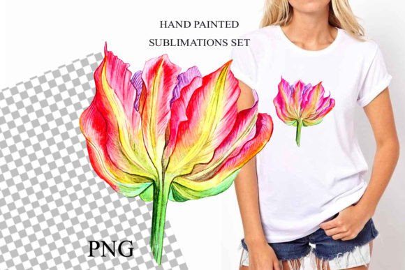 Elevate Your Designs with Watercolor Tulips Hand Drawn